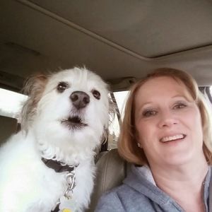 Meet your Posher, Susan